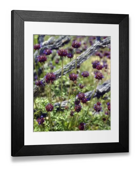 Framed Print : USA, North America, California Framed Print : USA, North America, California