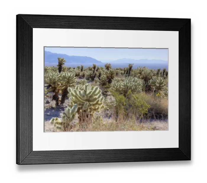 Framed Print : USA, North America, California Framed Print : USA, North America, California