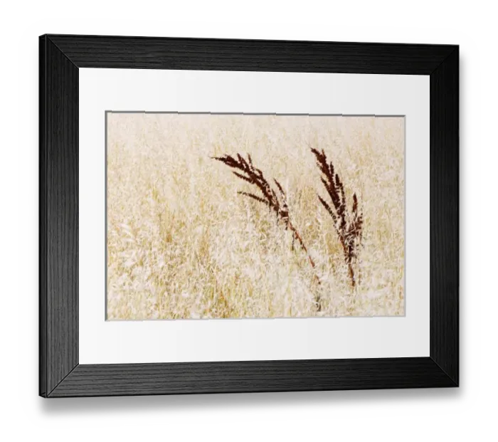 Framed Print : USA, North America, California Framed Print : USA, North America, California