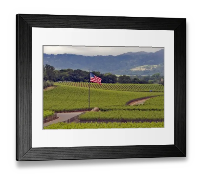 Framed Print : Edge Hill Vineyard, Rudd Vineyard. Napa Valley. Napa. Napa County, California, USA
