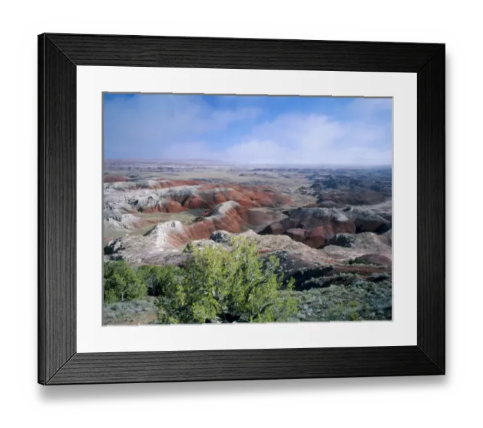Framed Print : Petrified Forest National Park, Arizona. USA. Juniper & eroded landscape of Painted