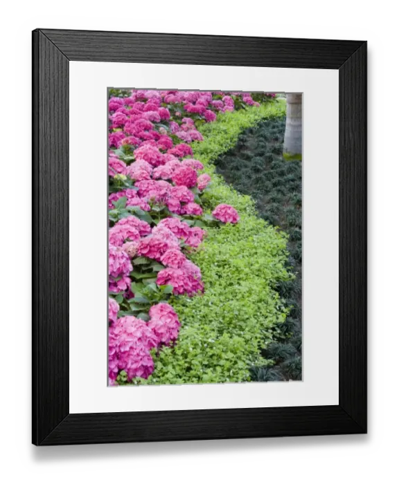 Framed Print : USA, North America, Georgia Framed Print : USA, North America, Georgia