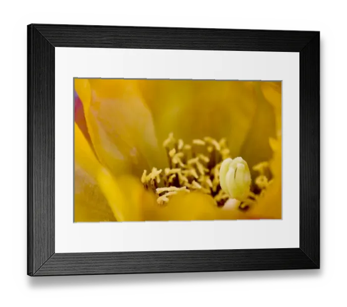 Framed Print : USA, North America, Arizona Framed Print : USA, North America, Arizona