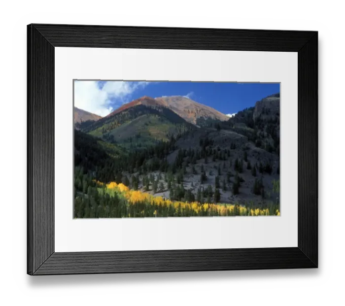 Framed Print : Fall color at base of Red Mountain in Colorado Framed Print : Fall color at base of Red Mountain in Colorado