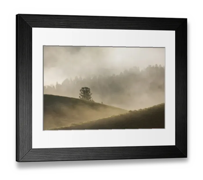 Framed Print : USA, North America, Colorado