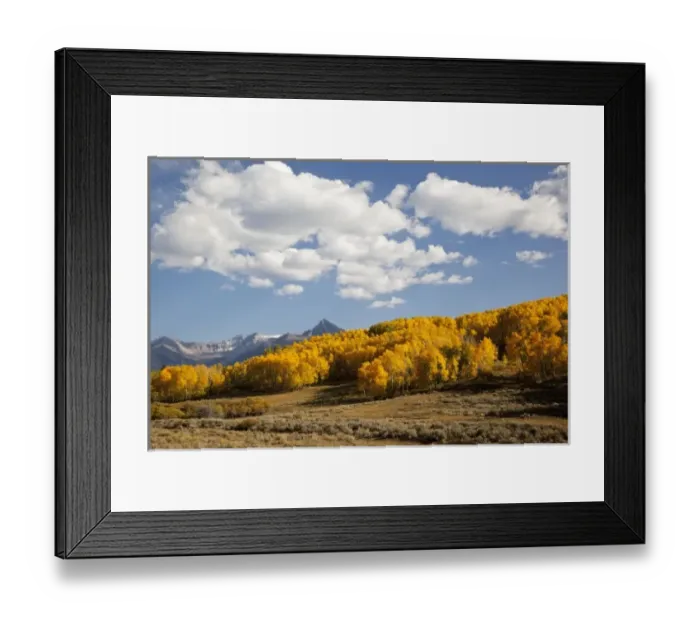Framed Print : USA, Colorado, Uncompahgre National Forest along forest road 858