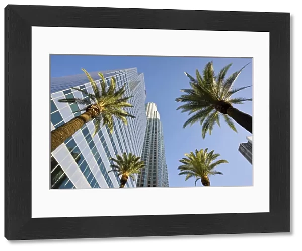 USA, California, Los Angeles. Downtown palms and skyscrapers