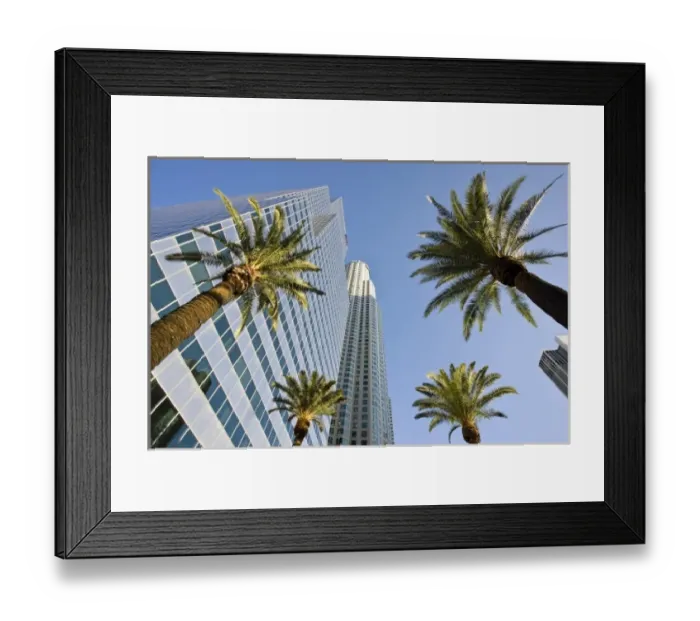 Framed Print : USA, California, Los Angeles. Downtown palms and skyscrapers