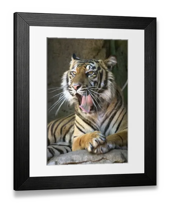 Framed Print : USA, North America, California Framed Print : USA, North America, California