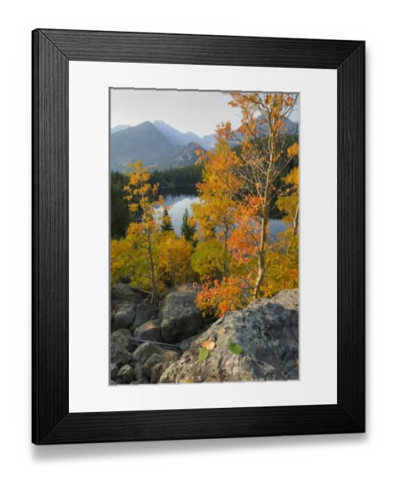 Framed Print : USA, Colorado, Rocky Mountain NP. Fall colors on aspens above Bear Lake and Longs Peak Framed Print : USA, Colorado, Rocky Mountain NP. Fall colors on aspens above Bear Lake and Longs Peak