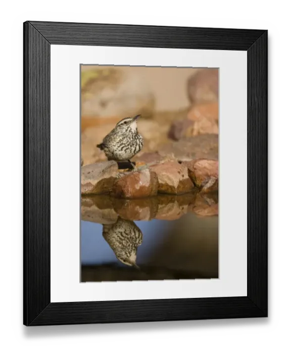 Framed Print : USA, North America, Arizona Framed Print : USA, North America, Arizona