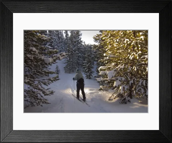 Framed Print : USA, Colorado, Cameron Pass. A female cross country skier glides through the trees. (MR)