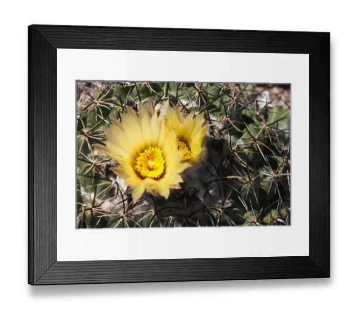 Framed Print : USA, North America, Arizona Framed Print : USA, North America, Arizona
