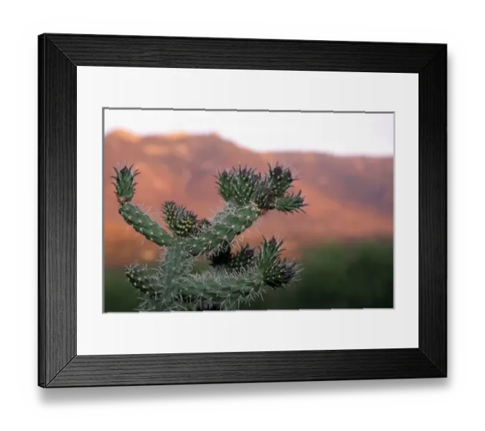 Framed Print : Tucson, Arizona, United States Framed Print : Tucson, Arizona, United States