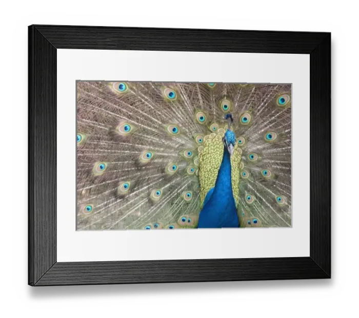 Framed Print : USA, North America, California Framed Print : USA, North America, California