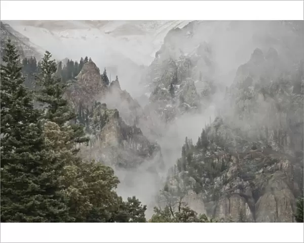 USA, Colorado, Ouray. Fog develops as a snow storm moves into the Uncompahgre River Gorge