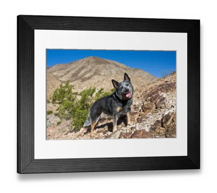 Framed Print : USA, North America, California