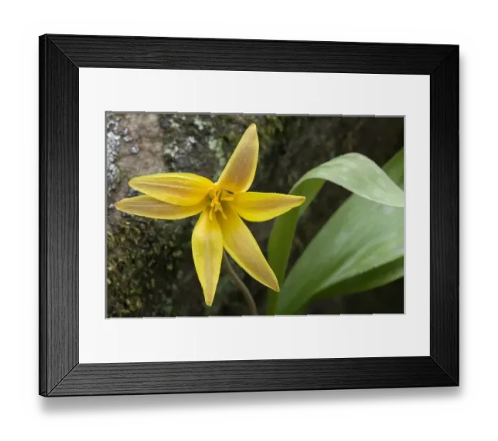 Framed Print : USA, North America, Arkansas