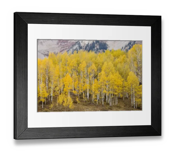 Framed Print : USA, North America, Colorado