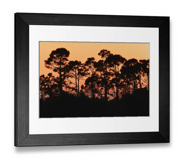 Framed Print : USA, North America, Florida Framed Print : USA, North America, Florida
