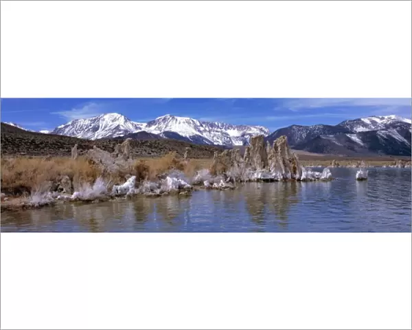USA, California, Mono Lake. Tufa towers mix with sagebrush at Mono Lake in the east