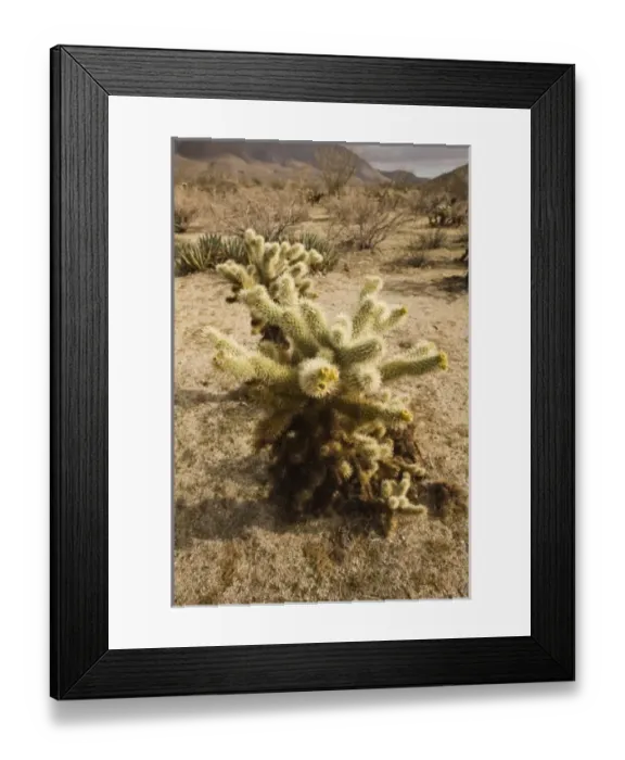 Framed Print : USA, North America, California Framed Print : USA, North America, California