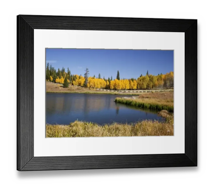 Framed Print : USA, North America, Colorado Framed Print : USA, North America, Colorado