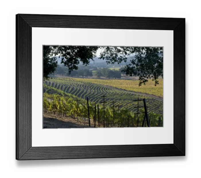 Framed Print : USA, North America, California Framed Print : USA, North America, California