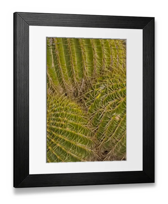 Framed Print : USA, North America, Arizona Framed Print : USA, North America, Arizona