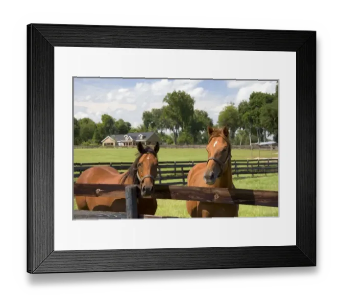 Framed Print : USA, North America, Florida Framed Print : USA, North America, Florida