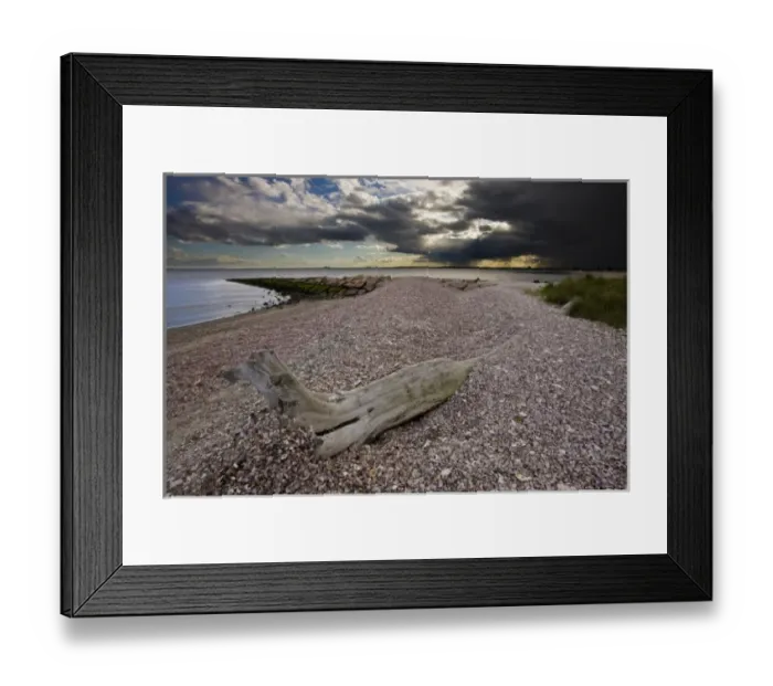 Framed Print : Driftwood on the shell-covered Long Beach in Stratford, Connecticut. Adjacent to Framed Print : Driftwood on the shell-covered Long Beach in Stratford, Connecticut. Adjacent to