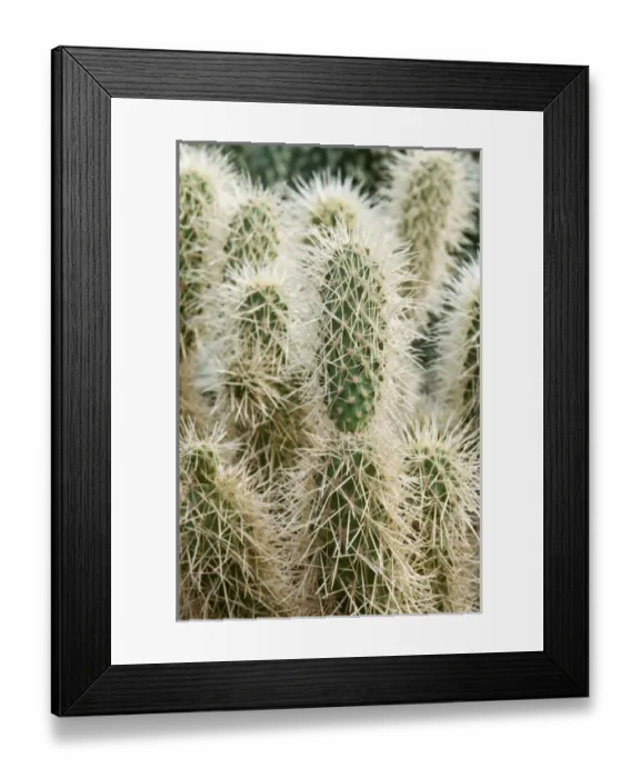Framed Print : USA, North America, Arizona Framed Print : USA, North America, Arizona
