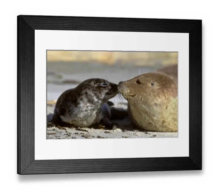 Framed Print : USA, North America, California Framed Print : USA, North America, California