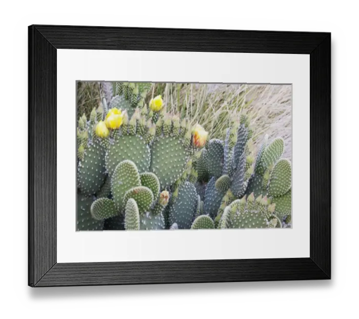 Framed Print : USA, North America, California Framed Print : USA, North America, California
