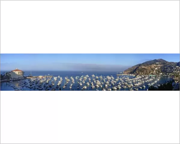 Panoramic view of Catalina Harbor, Catalina Island, California