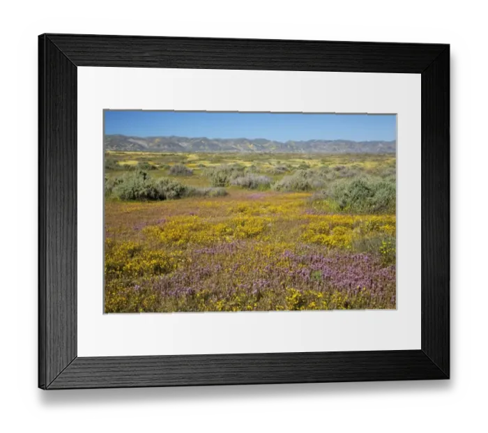 Framed Print : USA, North America, California Framed Print : USA, North America, California