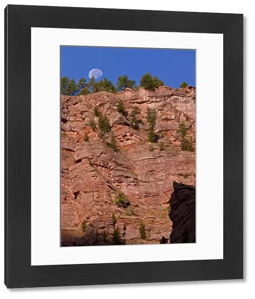 USA, Colorado, Redstone, Crystal River Canyon. Moonset on vertical red rock cliff