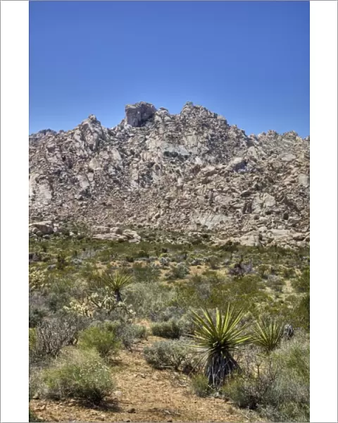 CA, Mojave National Preserve, Granite Mountains