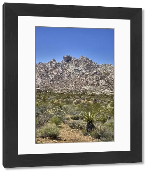 CA, Mojave National Preserve, Granite Mountains