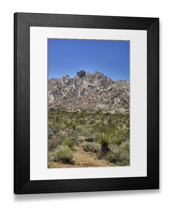 Framed Print : CA, Mojave National Preserve, Granite Mountains