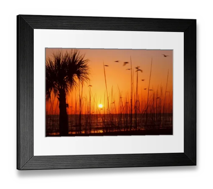 Framed Print : USA, North America, Florida Framed Print : USA, North America, Florida