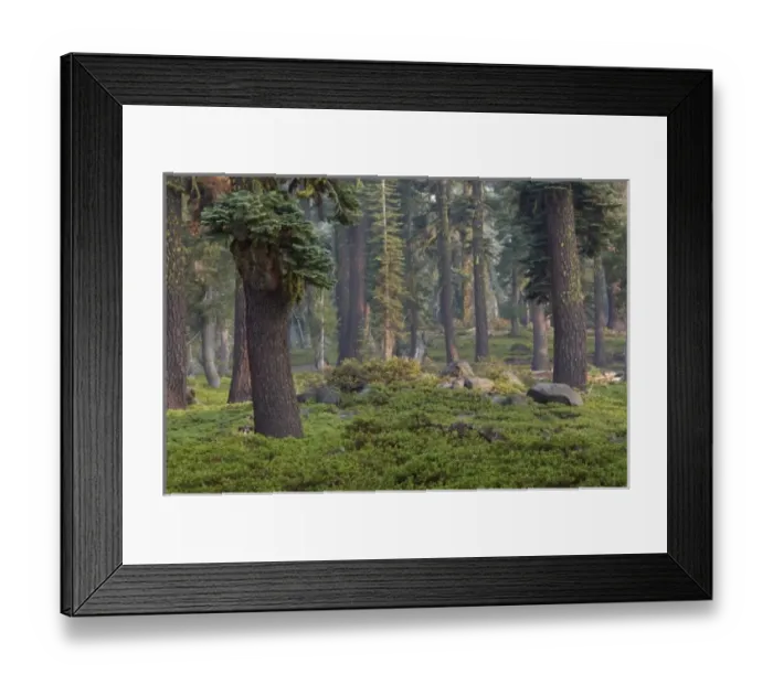 Framed Print : USA, North America, California Framed Print : USA, North America, California