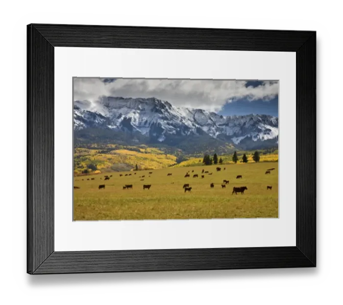 Framed Print : USA, North America, Colorado Framed Print : USA, North America, Colorado