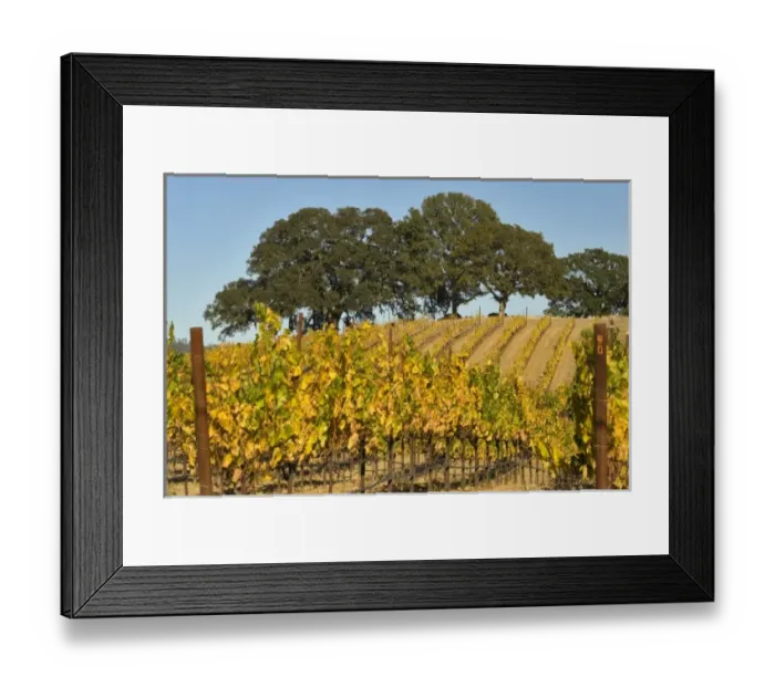 Framed Print : USA, North America, California Framed Print : USA, North America, California