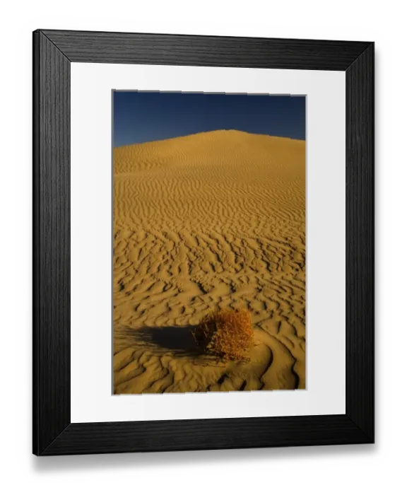 Framed Print : Sand Dunes and ripple desgins from the early morning light falling on the Dunes Mesquite