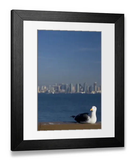 Framed Print : California, San Diego. View of downtown San Diego Framed Print : California, San Diego. View of downtown San Diego