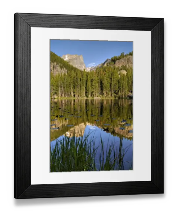 Framed Print : Unknown. USA, Colorado, Rocky Mountain NP. Reflection of Hallet Peak in Nymph Lake Framed Print : Unknown. USA, Colorado, Rocky Mountain NP. Reflection of Hallet Peak in Nymph Lake