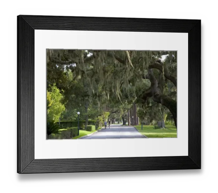 Framed Print : USA, North America, Georgia