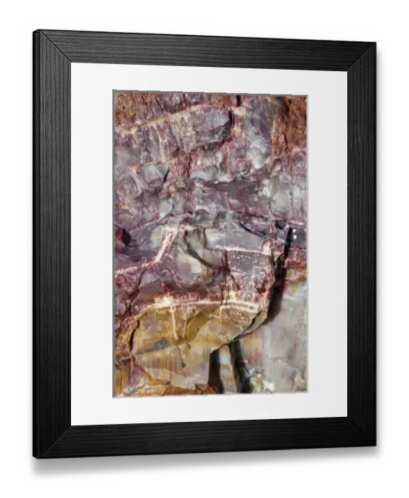 Framed Print : Arizona. Colorful petrified logs along the Crystal Forest and Trail, Petrified Forest Framed Print : Arizona. Colorful petrified logs along the Crystal Forest and Trail, Petrified Forest