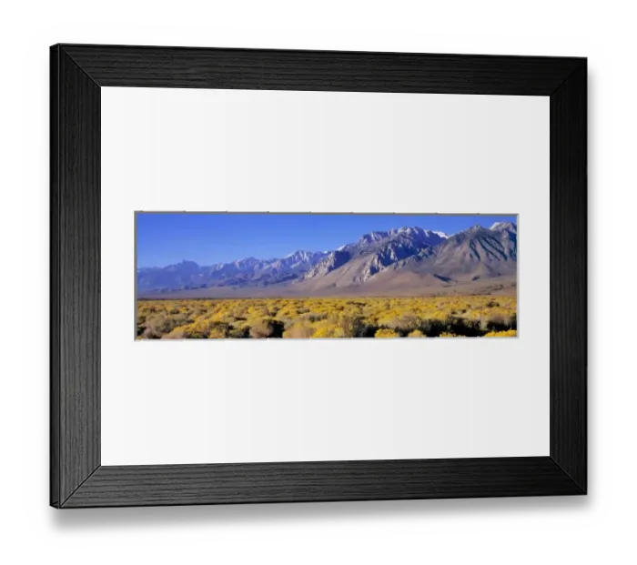 Framed Print : USA, California, Owens Valley. Rabbitbrush blooms in the late summer in the Owens Valley Framed Print : USA, California, Owens Valley. Rabbitbrush blooms in the late summer in the Owens Valley